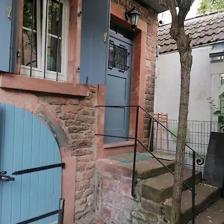 Zentrales Nest In Apartment *