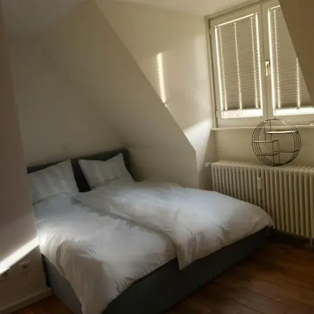 Apartment Zentrales Nest In Heidelberg