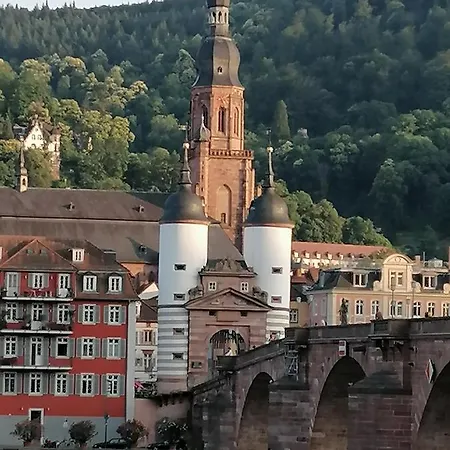 Zentrales Nest In *