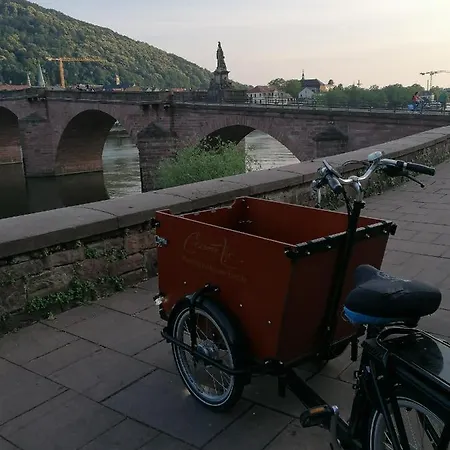 Zentrales Nest In Heidelberg