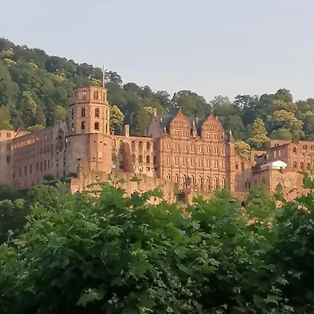 Zentrales Nest In Apartment Heidelberg