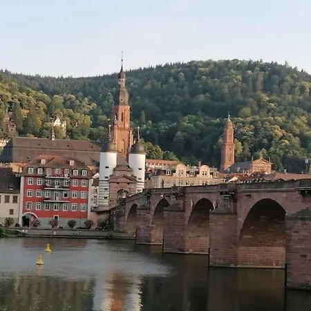 Apartment Zentrales Nest In Heidelberg